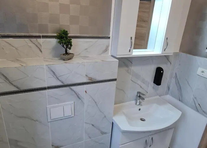 Jafar 7 Apartment Timisoara